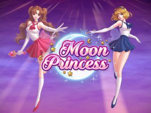 moonprincess-slot-play-n-go