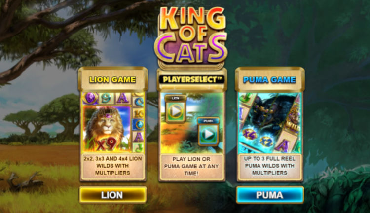 king-of-cats-megaways-big-time-gaming-slot-gokkast-review-1