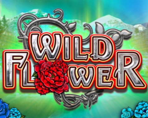 wild-roses-big-time-gaming-slot-gokkast-review-logo-casinobazen