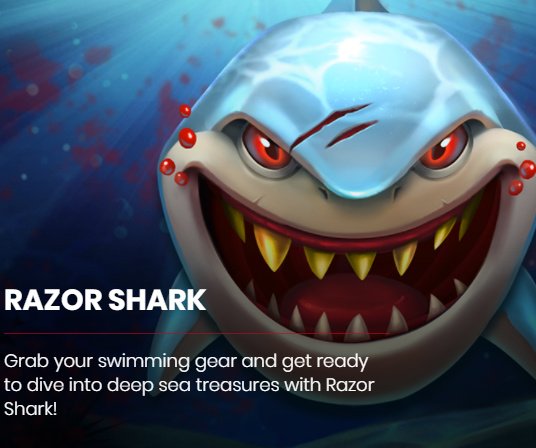 razor-shark-push-gaming-slot-review-gokkast-logo-casinobazen