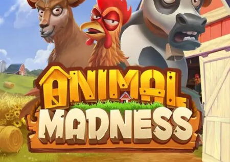 Animal Madness