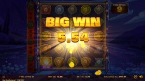 bee-hive-bonanza-gokkast-review-netent