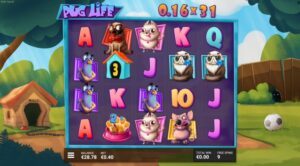 Pug Life slot review Hacksaw Gaming online casino