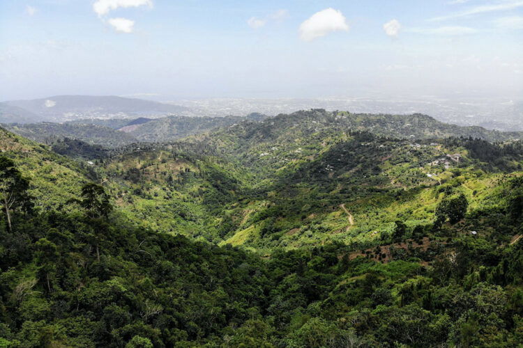 Blue Mountains Jamaica