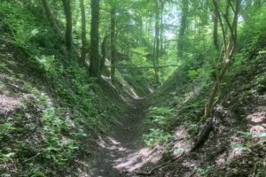 Dutch Mountain Trail