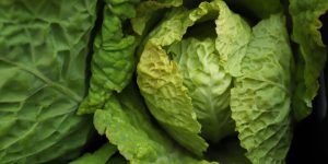 Bloemendaalse Gele Kool