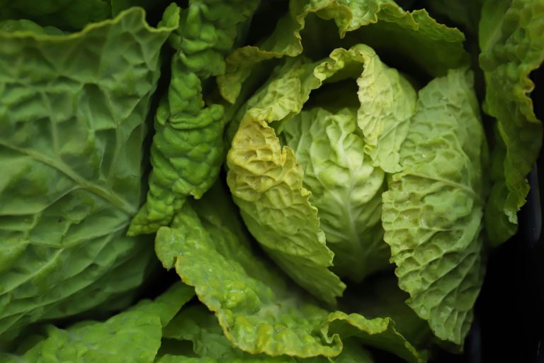 Bloemendaalse Gele Kool