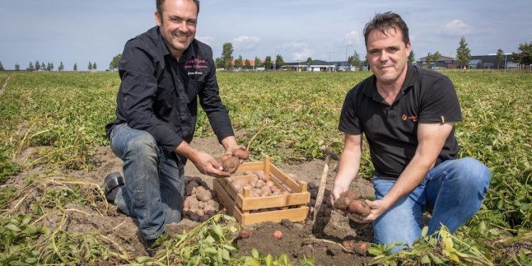 Rode Pipo Culinair Erfgoed