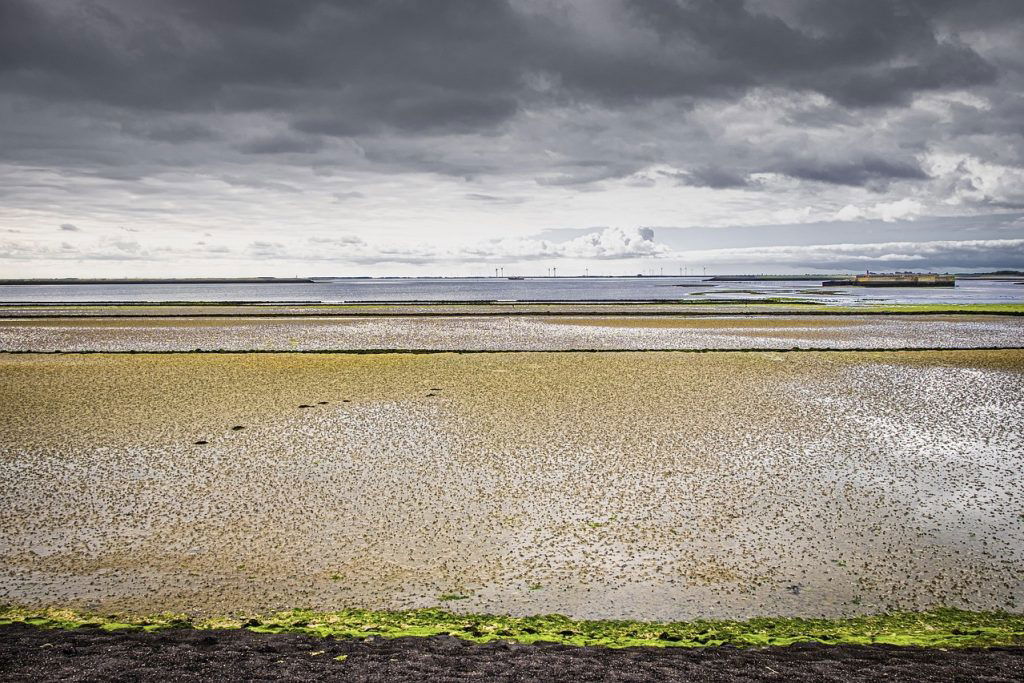 Nationaal Park Oosterschelde Zeeland