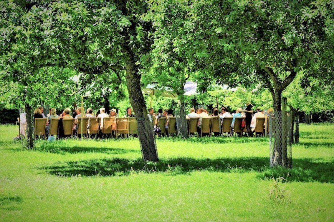 Piloersemaborg Den Ham tuin