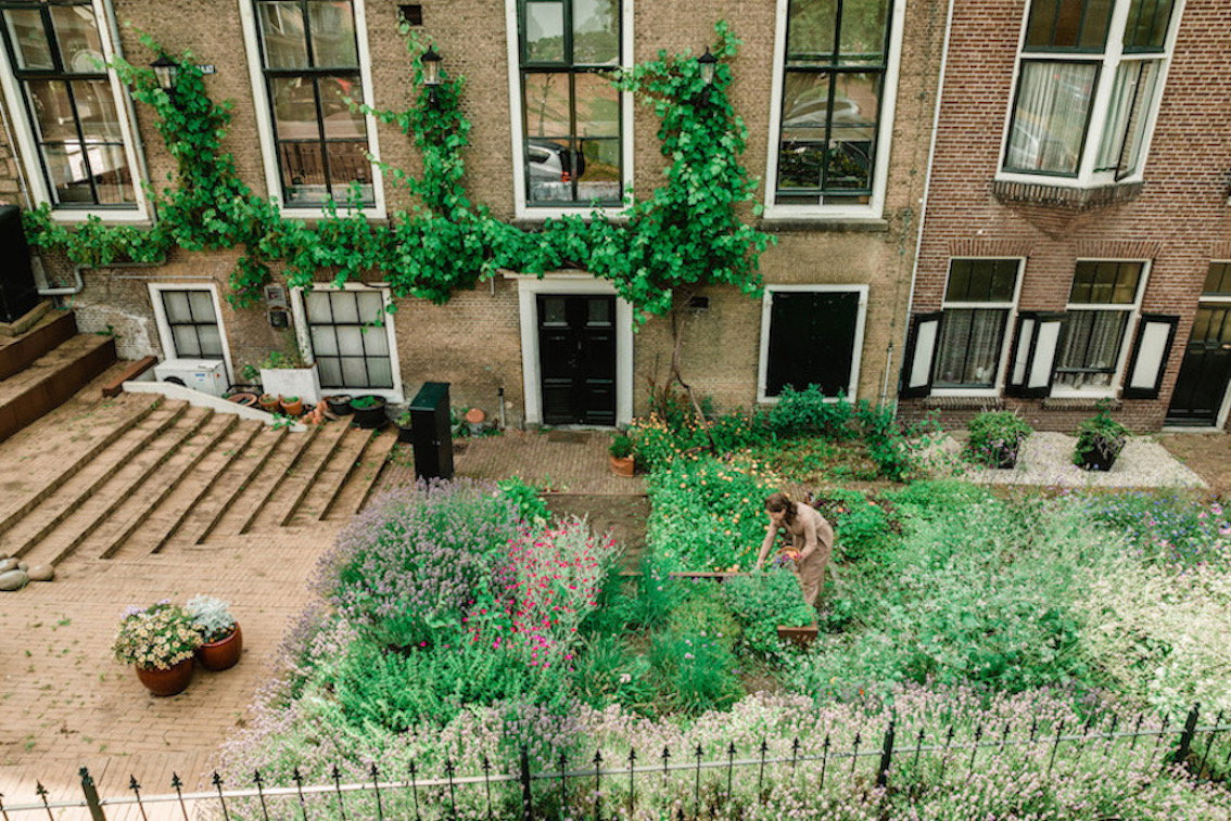 Perceel Capelle aan den IJssel tuin