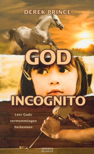 product afbeelding voor: God incognito