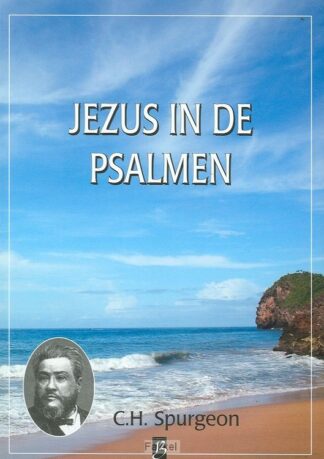 product afbeelding voor: Jezus in de psalmen