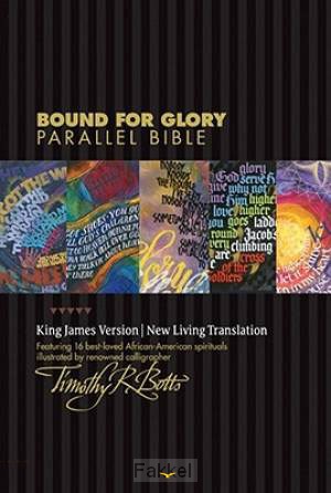 product afbeelding voor: NLT/KJV - Parallel Bible
