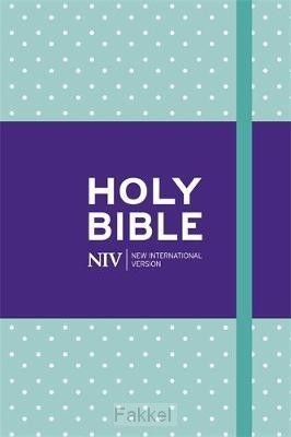 product afbeelding voor: NIV notebook bible