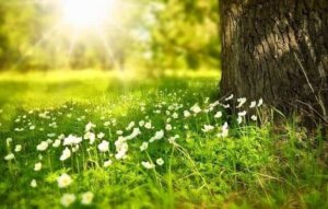 Online Healing & Reading Inloop