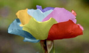 Op kleuren mediteren