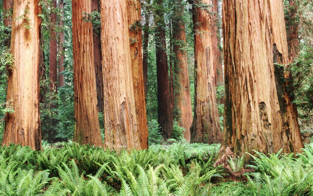 Spiritueel Groeiprogramma