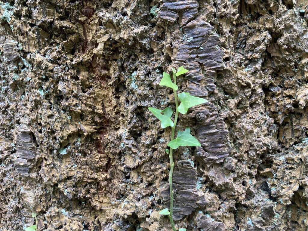 Je ontmoedigd voelen