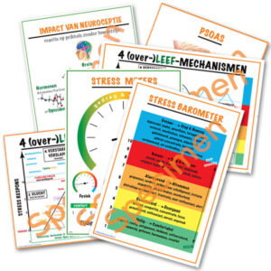 Set van alle modellen A1