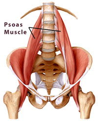 Psoas Kairo