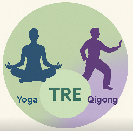 Wat is de synergie tussen TRE, Yoga- en QiGong?