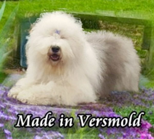 Bobtails From Quickman's Garden