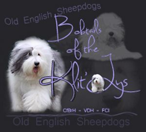 Bobtails Of The Klit-Ly's