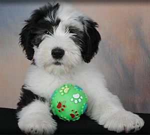 Checkpoint Charlie’s