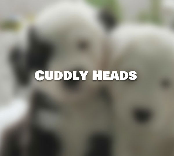 Cuddly-Heads