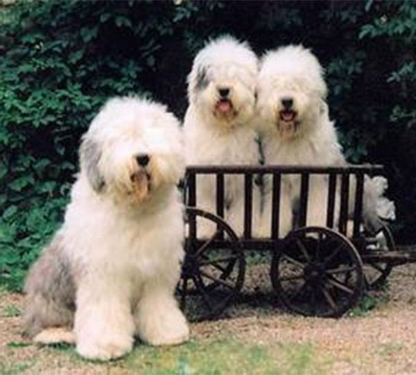 From Beautiful Highland