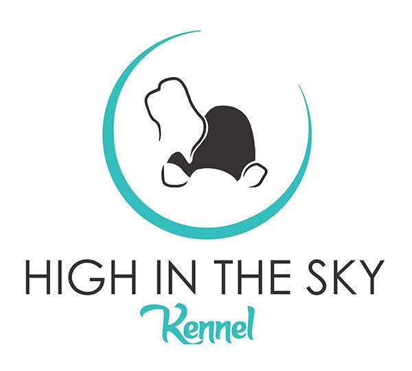 High in The Sky