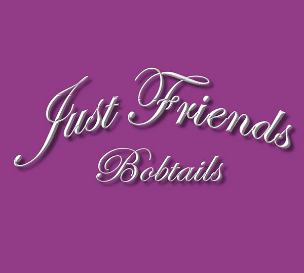 Just Friends
