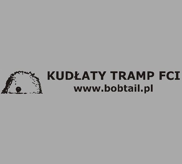 Kudlaty Tramp