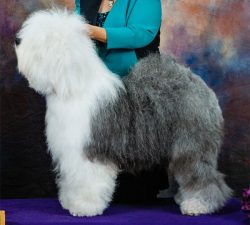 Love'n Stuff Summer Of Dreams