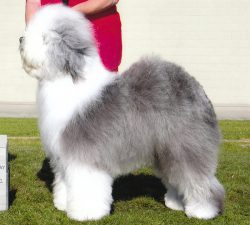 Love'n Stuff Summertime Blues