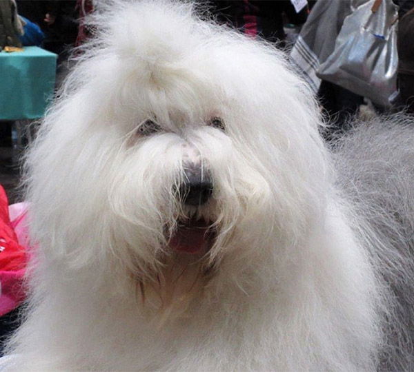 Masters Of The Universe