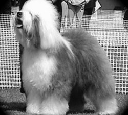 Some Buddys Th'one At Bluecaleb