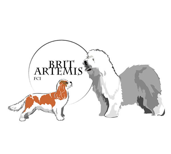 Brit Artemis