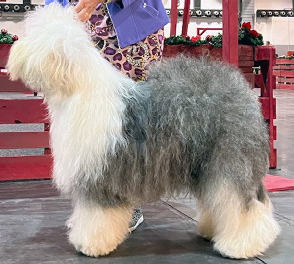 Love'n Stuff Elbe-Urstromtal