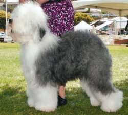 Love'n Stuff Hugs 'N' Kisses