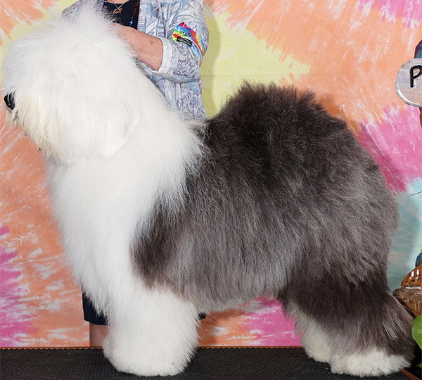 Love'n Stuff Londonaire On The Road Again