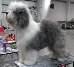 Love'n Stuff Mak'N A Difference