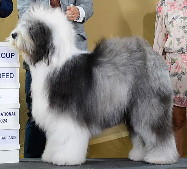 Love'n Stuff Odin The All-Father Of Yovine