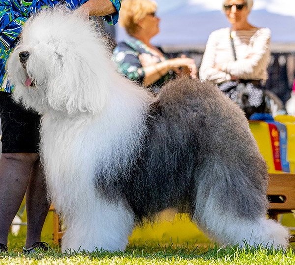 Love'n Stuff One For The Road