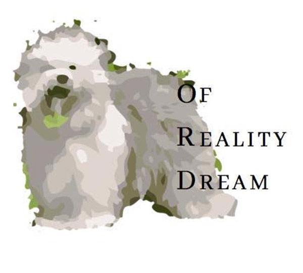 of Reality Dream