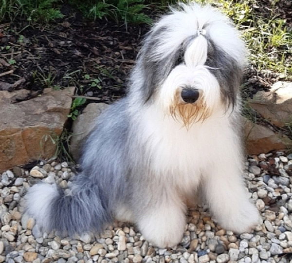 z Trnkového Království