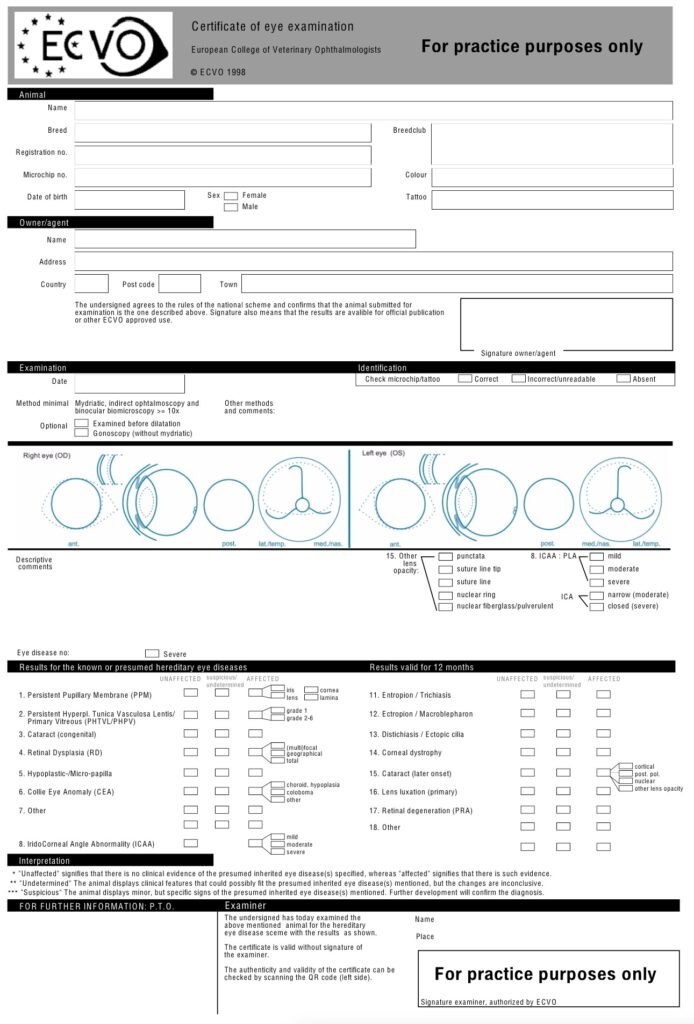 EVCO eye certificate example