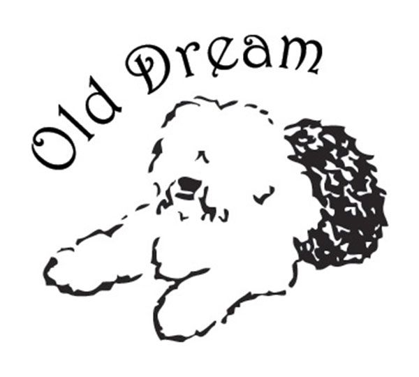 Old Dream