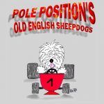 Pole-Position's